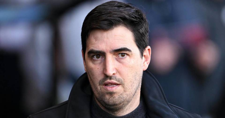 采访时说的, 每个人都希, 选择是伊劳